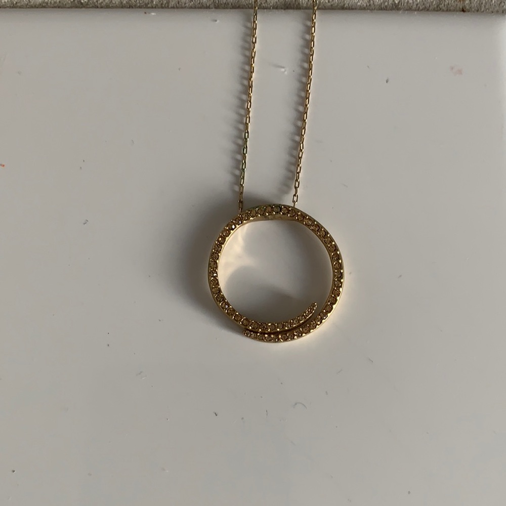Circle Alfani necklace